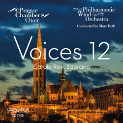         Voices 12
    