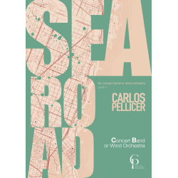         Sea Road. - Carlos Pellicer Anderes
    