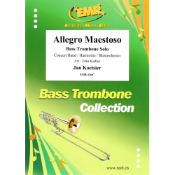         Allegro Maestoso - Jan Koetsier / Arr. Jirka Kadlec
    