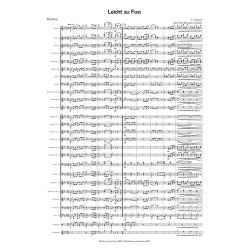         Leicht zu Fuß - Carl Latann / Arr. Uwe Krause-Lehnitz
    