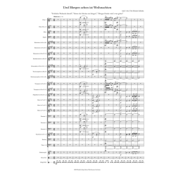         Und morgen schon ist Weihnachten - Traditional / Arr. Uwe Krause-Lehnitz
    