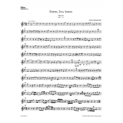         Komm, Jesu, komm BWV 229 - Johann Sebastian Bach
    