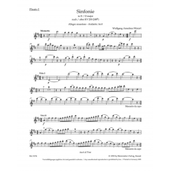         Symphony in D major - Wolfgang Amadeus Mozart
    