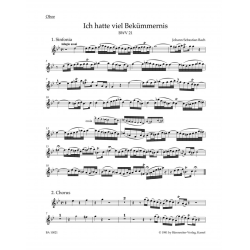         Lord my God, my heart and soul were sore distrest BWV 21 - Johann Sebastian Bach
    