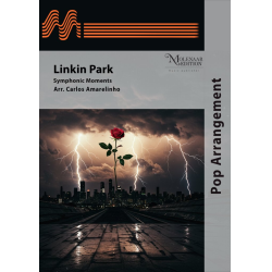         Linkin Park - Linkin Park / Arr. Carlos Amarelinho
    