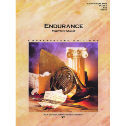         Endurance - Timothy Mahr
    