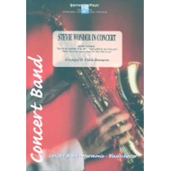 Stevie Wonder in Concert