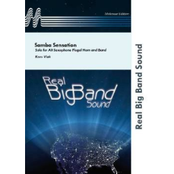         Samba Sensation - Kees Vlak
    
