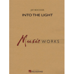         Into the Light - Jay Bocook
    