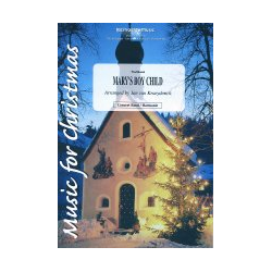         Mary's Boy Child - Traditional / Arr. Jan van Kraeydonck
    