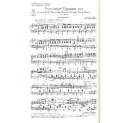        Spanischer Zigeunertanz / Brasilianer Galopp - Pascual Marquina / Arr. Walter Heyer
    