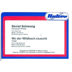         Soviel Schwung / Wo der Wildbach rauscht - Jara Benes / Arr. Jean Treves
    