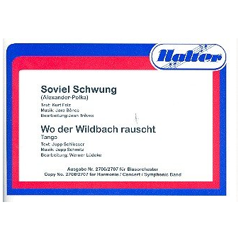 Soviel Schwung / Wo der Wildbach rauscht