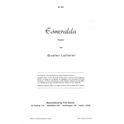         The Little Joe - Gustav Lotterer
    