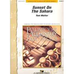         Sunset on the Sahara - Tom Molter
    