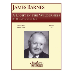         A Light in the Wilderness - James Barnes
    