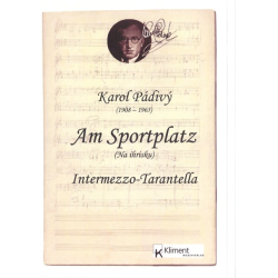         Na ihrisku - Am Sportplatz - Karol Padivy
    