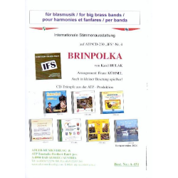         Brinpolka - Karel Hulak / Arr. Franz Kühnel
    