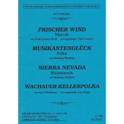         Sierra Nevada (Dixiemarsch) - Henning Matthies
    