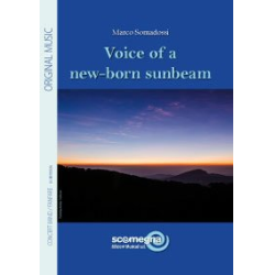         Voice of a new-born sunbeam - Marco Somadossi
    