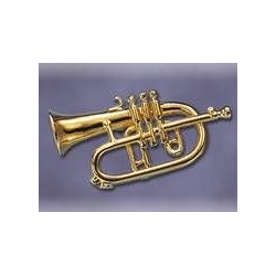         Anstecker A18 Flügelhorn
    