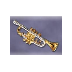         Anstecker A19 Trompete
    