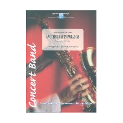         Another Day in Paradise - Phil Collins / Arr. Jan van Kraeydonck
    