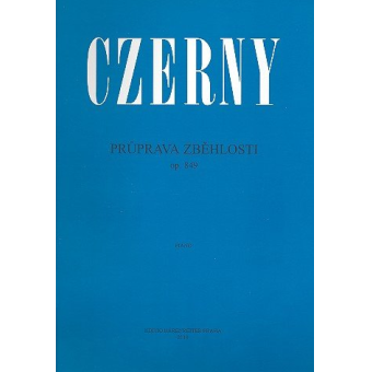 Anhänger H10 Gitarre Konzert