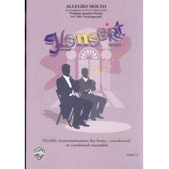 Allegro molto (from Symphony no. 40 in G minor, KV 550)