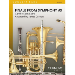         Finale from Symphony #3 (Orgel ad lib.) - Camille Saint-Saens / Arr. James Curnow
    