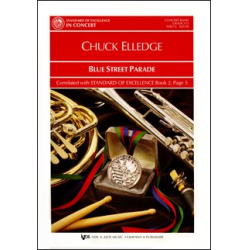         Blue Street Parade - Chuck Elledge
    