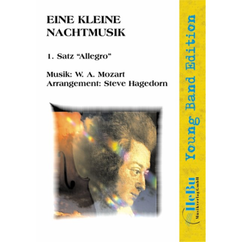Eine kleine Nachtmusik (1. Satz 'Allegro')