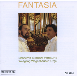         Fantasia - Branimir Slokar
    