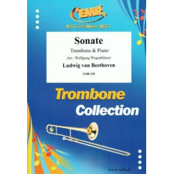         Sonate - Ludwig van Beethoven / Arr. Dick Le Mair
    