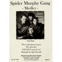         Spider Murphy Gang (Medley) - Spider Murphy Gang / Arr. Erwin Jahreis
    
