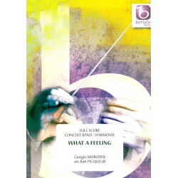         What a Feeling - Flashdance - Giorgio Moroder / Arr. Bart Picqueur
    