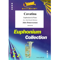         Cavatina - Jules Demersseman / Arr. John Glenesk Mortimer
    