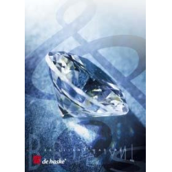         Pioneers of the Lowlands - Jacob de Haan
    