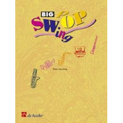         Big Swop - Fons van Gorp
    