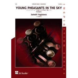         Young Pheasants in the Sky - Satoshi Yagisawa
    