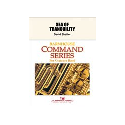         Sea of Tranquility - David Shaffer
    