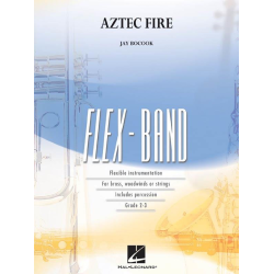         Aztec Fire - Jay Bocook
    