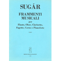         Frammenti Musicali - Zucchero (Adelmo Fornaciari)
    
