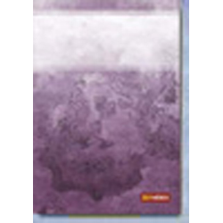         Maestro Lino - Ferrer Ferran
    