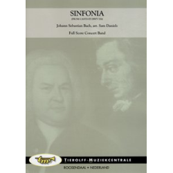         Sinfonia (aus der Kantate BWV 156) - Johann Sebastian Bach / Arr. Sam Daniels
    