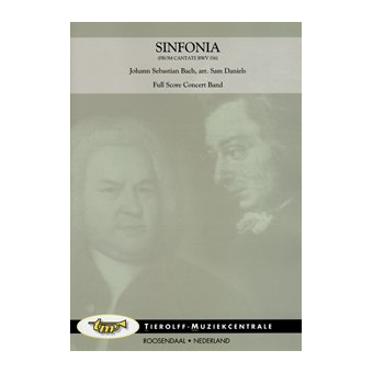 Sinfonia (aus der Kantate BWV 156)