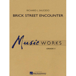        Brick Street Encounter - Richard L. Saucedo
    