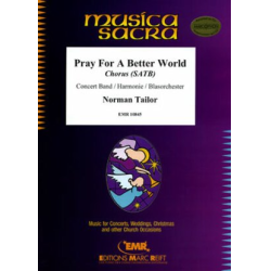         Pray For A Better World - Norman Tailor
    