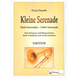         Kleine Serenade - Pavel Stanek
    