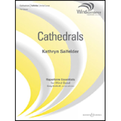         Cathedrals - Kathryn Salfelder
    
